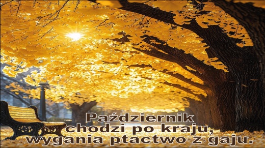 przysłowie na październik 24